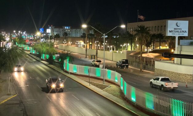 Cambia la imagen urbana con las mejoras en los camellones