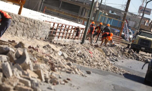 Cambia la imagen urbana con las mejoras en los camellones