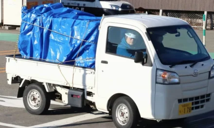 Un oso ataca a un trabajador y saquea la sección de carne en un supermercado de Japón