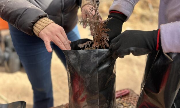 Exitosa la primer Jornada de Voluntariado en el vivero de El Chamizal