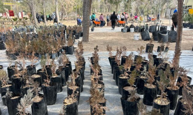 Exitosa la primer Jornada de Voluntariado en el vivero de El Chamizal