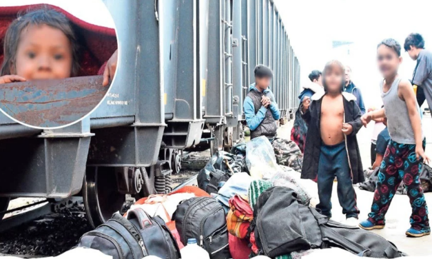 Llegaron más de 9 mil menores desplazados