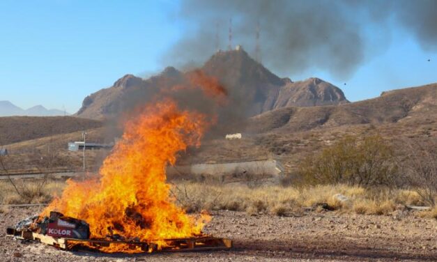 Incineran cocaína, cristal, marihuana y heroína en el C-7