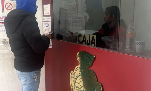 Trámites municipales que puede hacer en la ventanilla de Ecología