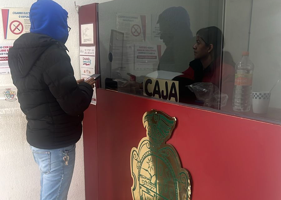 Trámites municipales que puede hacer en la ventanilla de Ecología