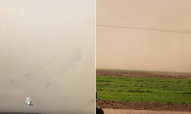 Cierran carretera Janos-Ascensión por tolvaneras y vientos de 90 km/h