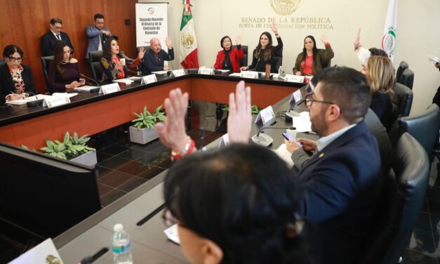 Senado exhortará a los estados de oposición a garantizar los apoyos a las personas con discapacidad