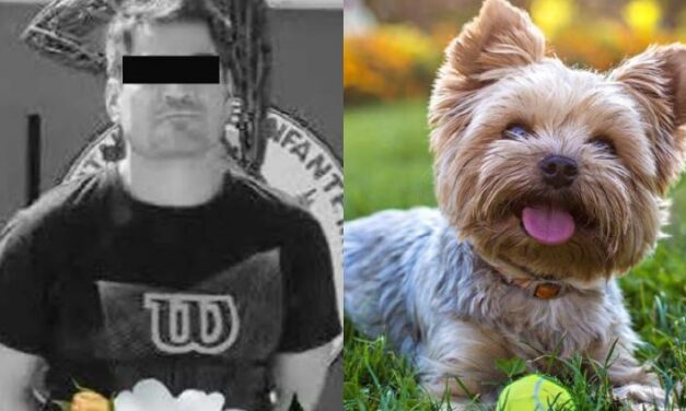 Pareja asesinó a veterinario por no salvar a su perrita