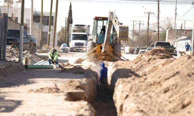 Pavimentan calles en la colonia Nuevo Hipódromo