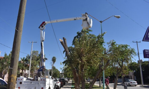 Ilumina Alumbrado Público 9 fraccionamientos