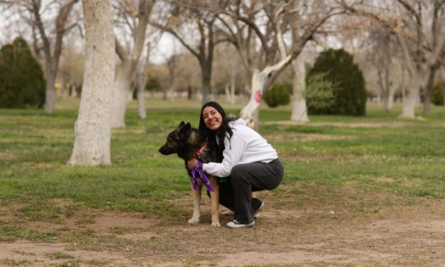 Adoptan juarenses a mascotas en “Paseo con Huellitas”