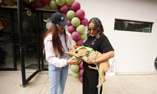 Adoptan juarenses a mascotas en “Paseo con Huellitas”
