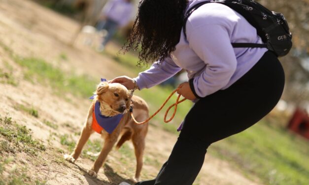 Adoptan juarenses a mascotas en “Paseo con Huellitas”