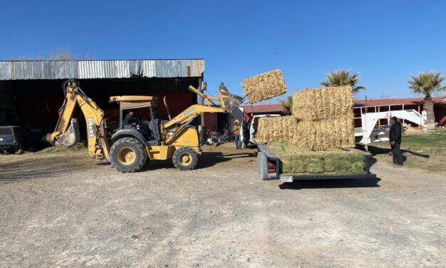 Inicia la entrega de pacas de pastura a los ganaderos del Municipio