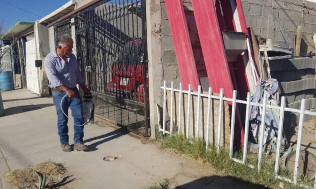 Recomienda Dirección de Ecología fumigar en esta temporada