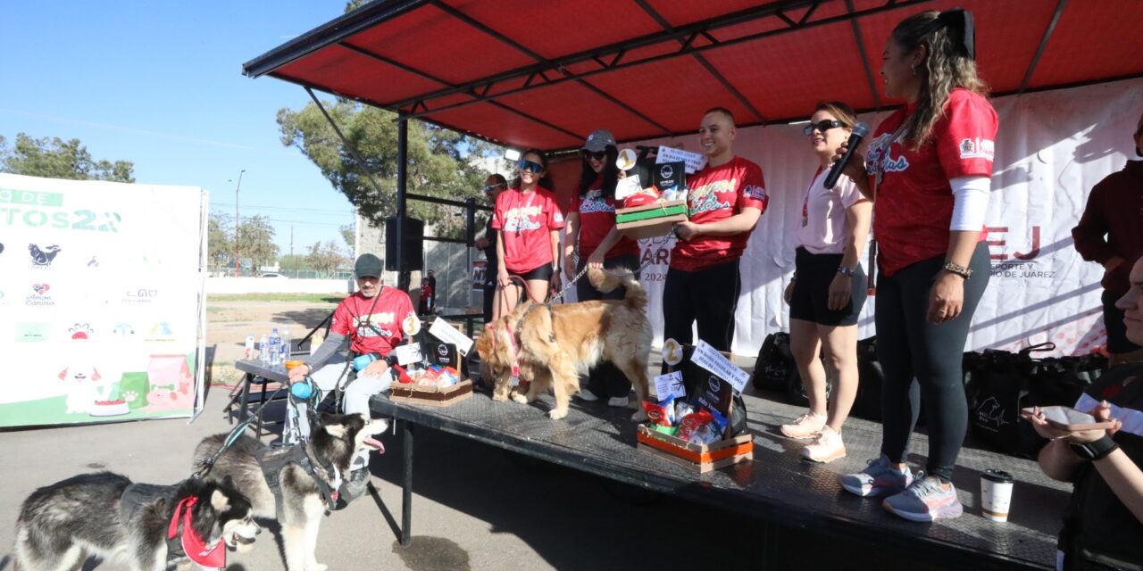 Participan cerca de 350 perritos en Segunda Carrera con Mascotas