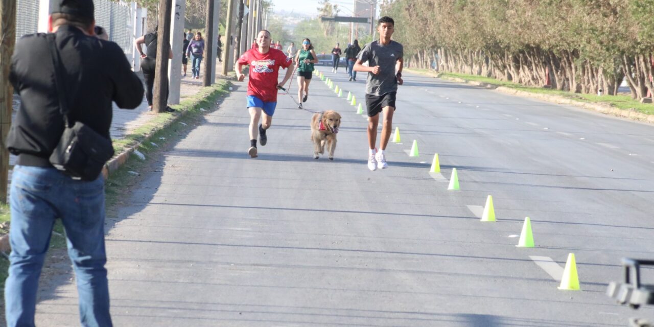 Participan cerca de 350 perritos en Segunda Carrera con Mascotas