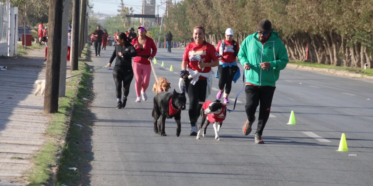 Participan cerca de 350 perritos en Segunda Carrera con Mascotas