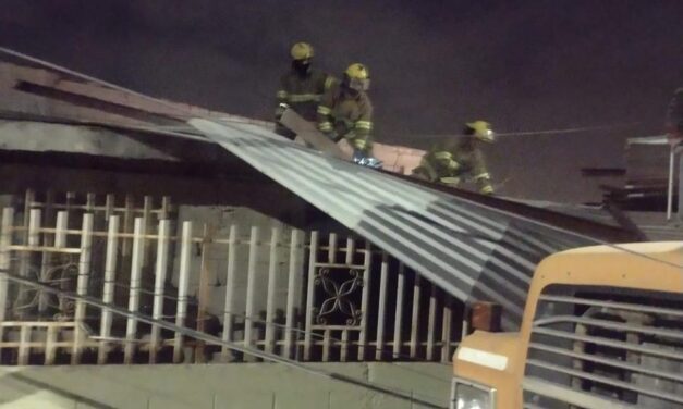 Atiende Protección Civil daños ocasionados por los vientos