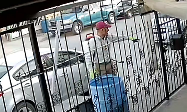 Alerta Ecología sobre falsos empleados municipales que fumigan viviendas