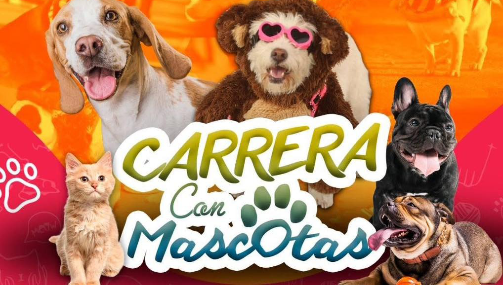Este domingo es la Segunda “Carrera con Mascotas”, DABA