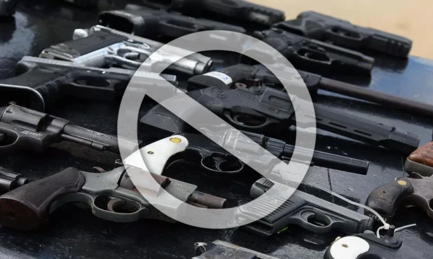 Un éxito campaña “Sí al desarme, Sí a la paz”