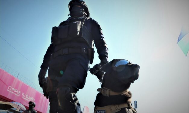 Disminuye percepción de inseguridad en la frontera durante el primer trimestre de 2025: INEGI