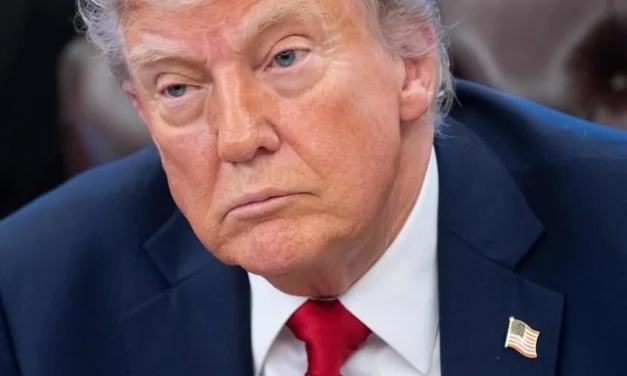 Doce estados de EE.UU. impugnan legalmente los aranceles de Trump