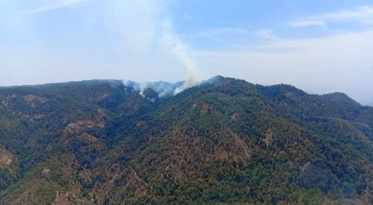 Protección Civil descarta afectaciones por incendios forestales en Urique tras inspección aérea