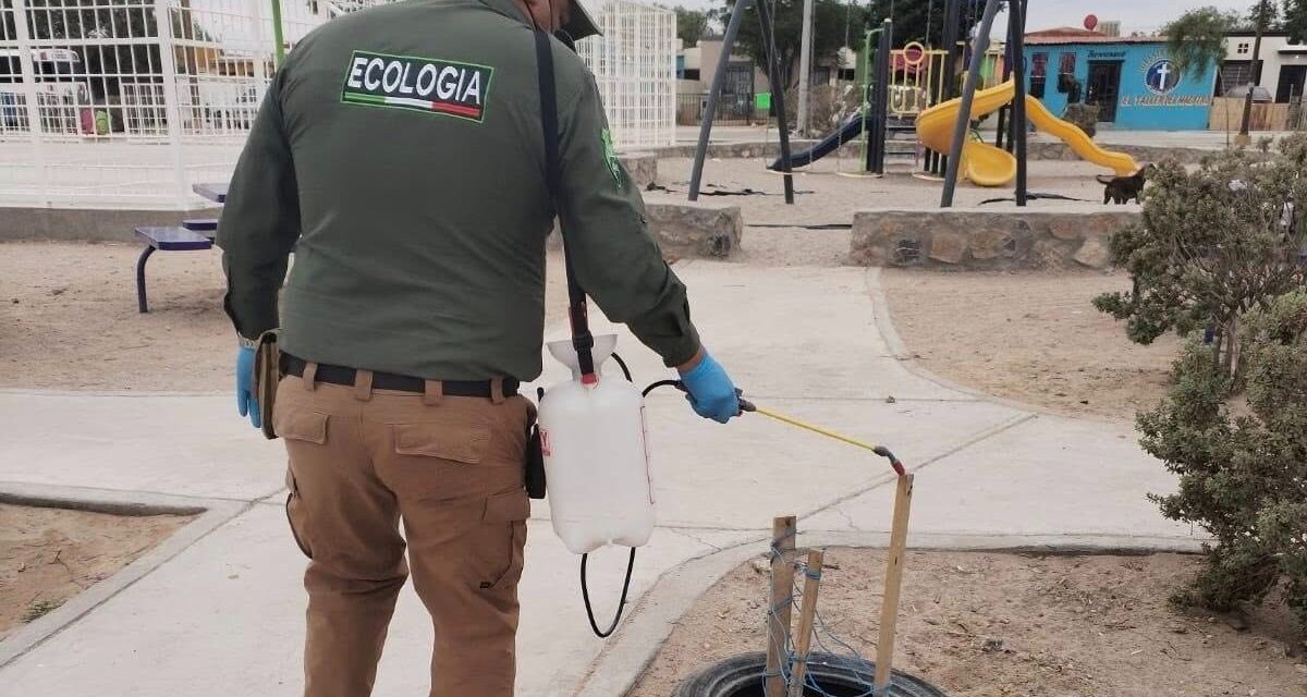 Atiende Ecología 480 viviendas en operativo de fumigación en Urbivilla del Prado