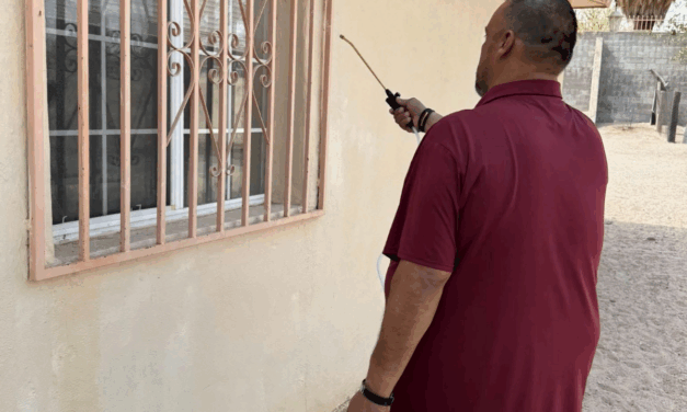 Llama Ecología a la población a fumigar sus hogares para prevenir garrapatas y arañas