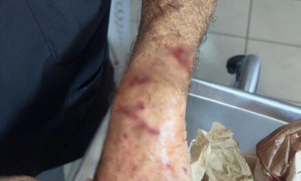Aclara DABA procedimiento en caso de eutanasia aplicada a dos perros agresivos