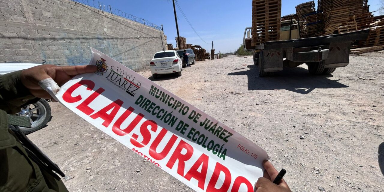 Clausuran tarimera clandestina en la colonia Granjas Polo Gamboa