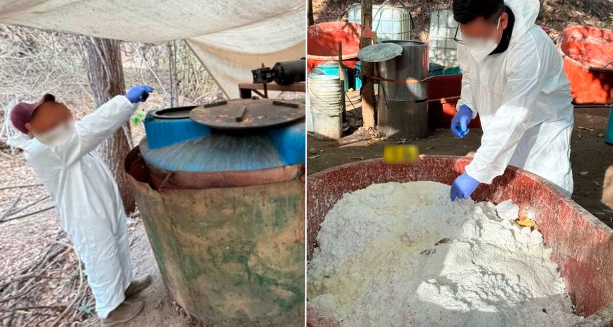 Nitacenos: la nueva droga sintética que amenaza con superar al fentanilo