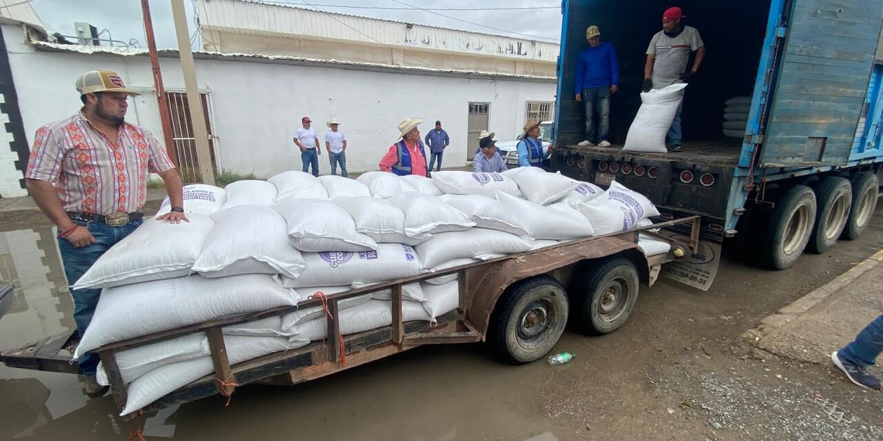 Entrega Estado más de 33 toneladas de avena forrajera a productores de Guadalupe y Práxedis G. Guer