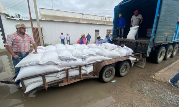 Entrega Estado más de 33 toneladas de avena forrajera a productores de Guadalupe y Práxedis G. Guer