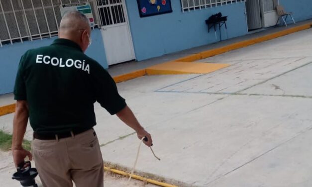 Atiende Ecología 31 instituciones a través de Fumigación por tu Escuela