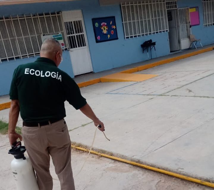 Atiende Ecología 31 instituciones a través de Fumigación por tu Escuela