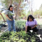 Estudiantes de Biología impulsan proyecto de germinación en el Vivero Municipal de El Chamizal