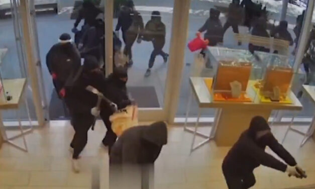 (VIDEO) ¡Golpe comando en California! Más de 20 encapuchados asaltan joyería y se llevan botín millonario