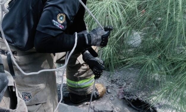 Rescatan a perro atrapado en alcantarilla en la colonia Bosque Bonito