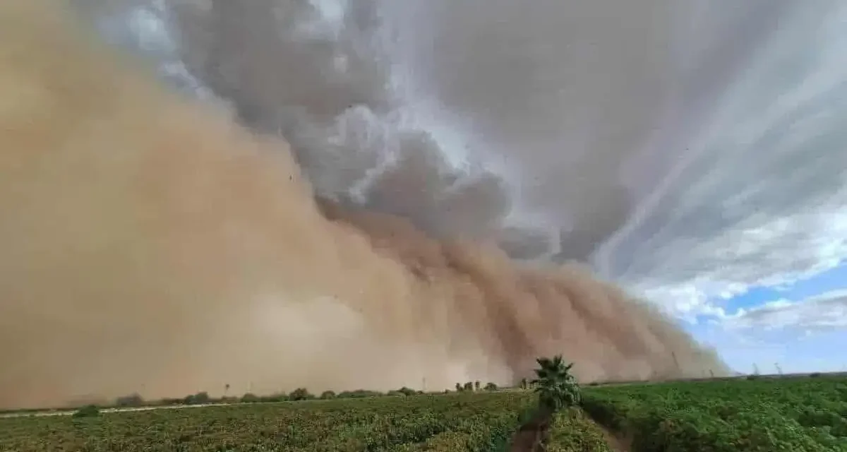 Tormenta de arena y lluvias intensas sorprenden a Caborca; activan protocolos de emergencia