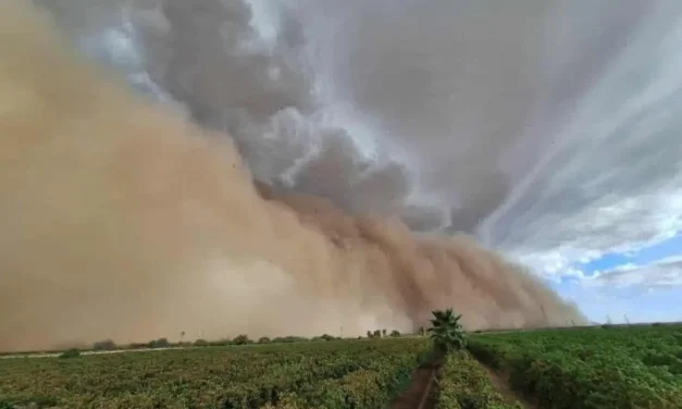 Tormenta de arena y lluvias intensas sorprenden a Caborca; activan protocolos de emergencia