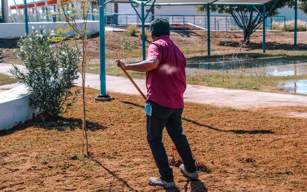 Refuerza Estado áreas verdes del Parque Central con siembra de pasto