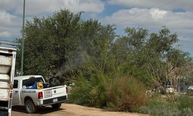 Busca Ecología atender a los juarenses con el programa de nebulizaciones