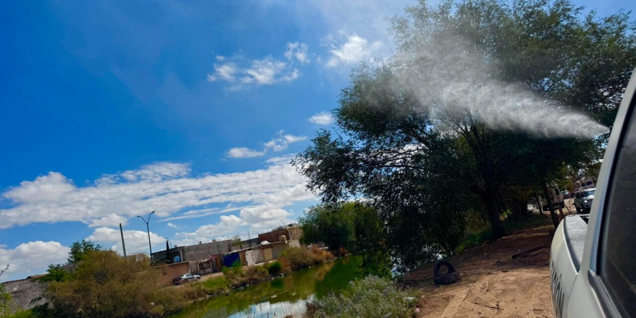 Busca Ecología atender a los juarenses con el programa de nebulizaciones
