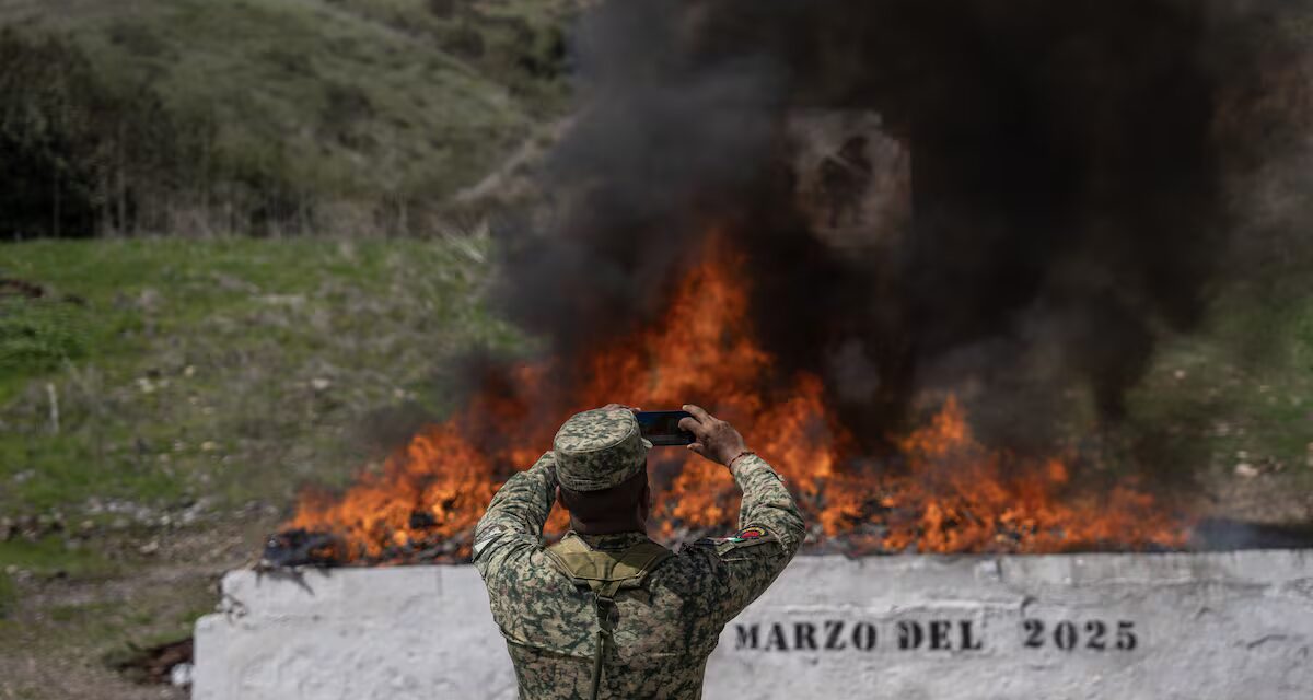 Escándalo en la FGR: destituyen a 10 funcionarios por sustituir cocaína con leche en polvo