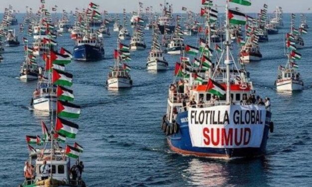 En zona de alto riesgo: Global Sumud Flotilla avanza hacia Gaza con activistas de decenas de países, incluidos mexicanos