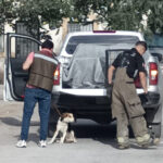 “Amores Perros” en Urbi Villa del Cedro III