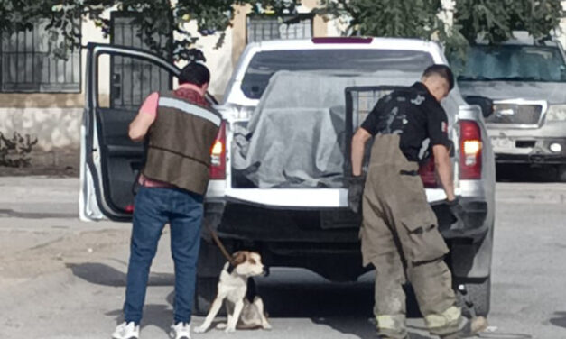 “Amores Perros” en Urbi Villa del Cedro III